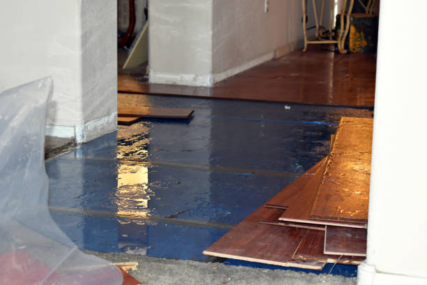Professional Basement Flood Cleanup technician working in Fremont, MI